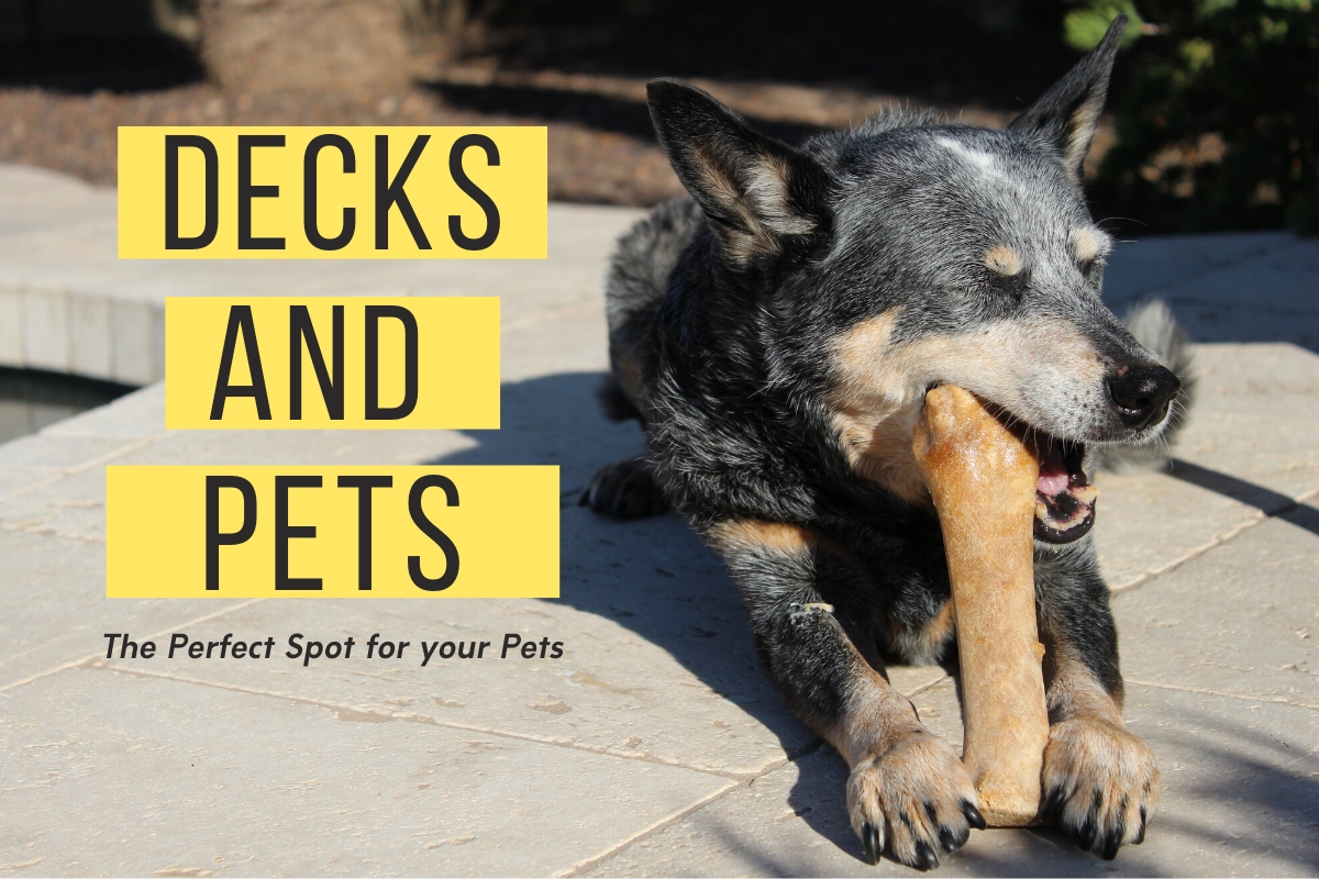 Pet Friendly Deck Ideas